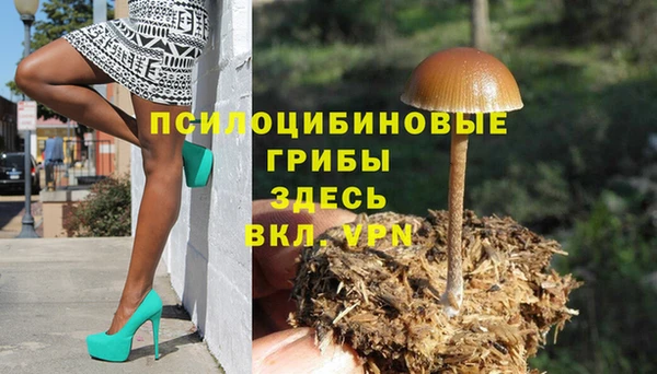 прущая мука Алзамай