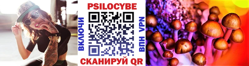 Псилоцибиновые грибы Psilocybe  omg сайт  Мостовской 